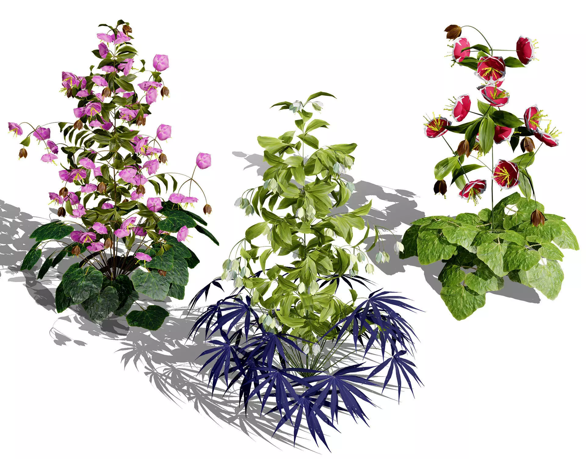 British Hellebores 3D Plant Collection Low-poly 3D model_0