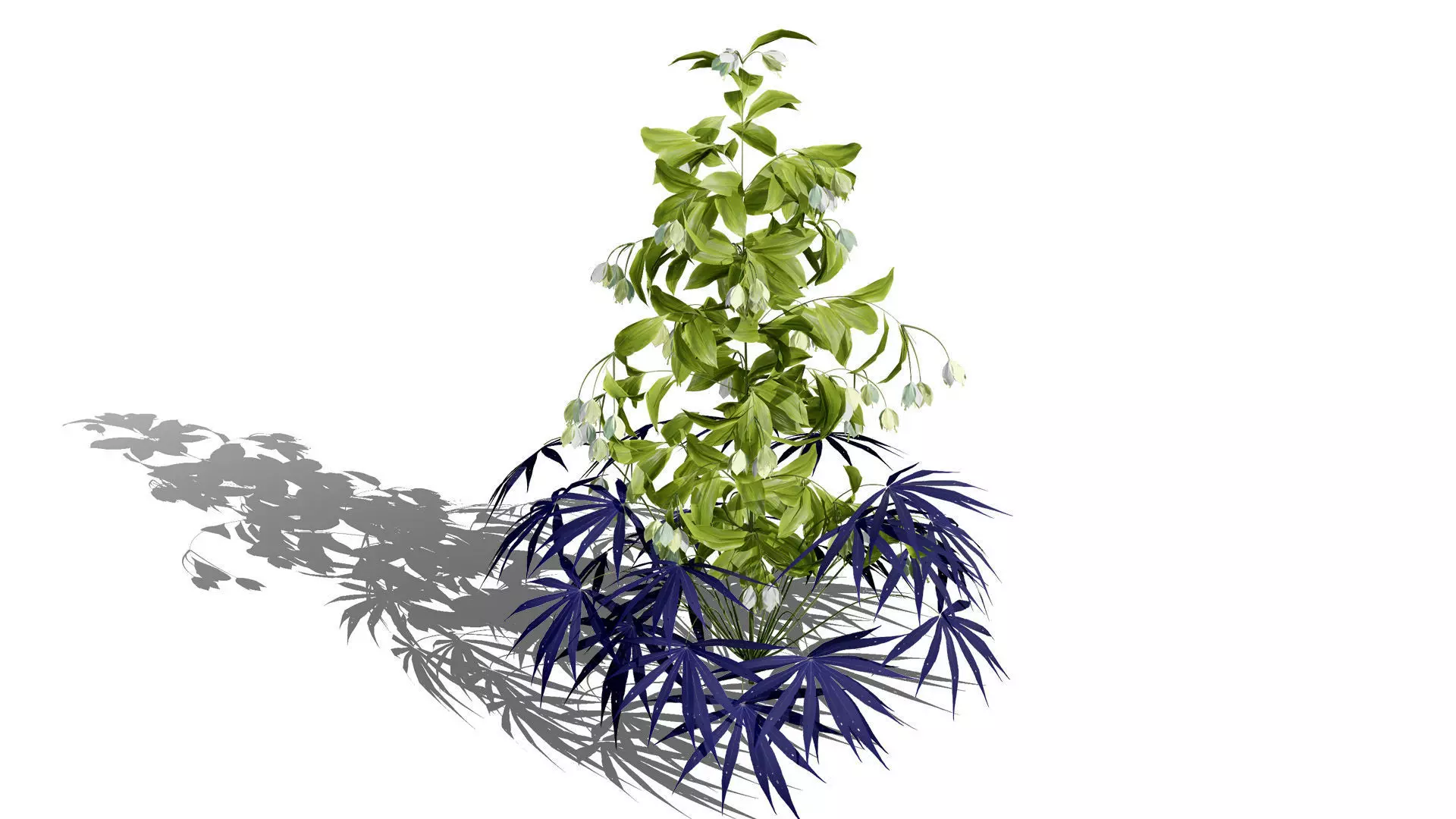 British Hellebores 3D Plant Collection Low-poly 3D model_8