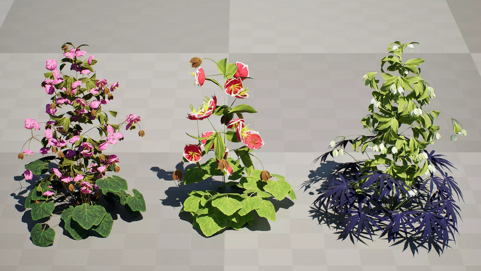 British Hellebores 3D Plant Collection Low-poly 3D model_3