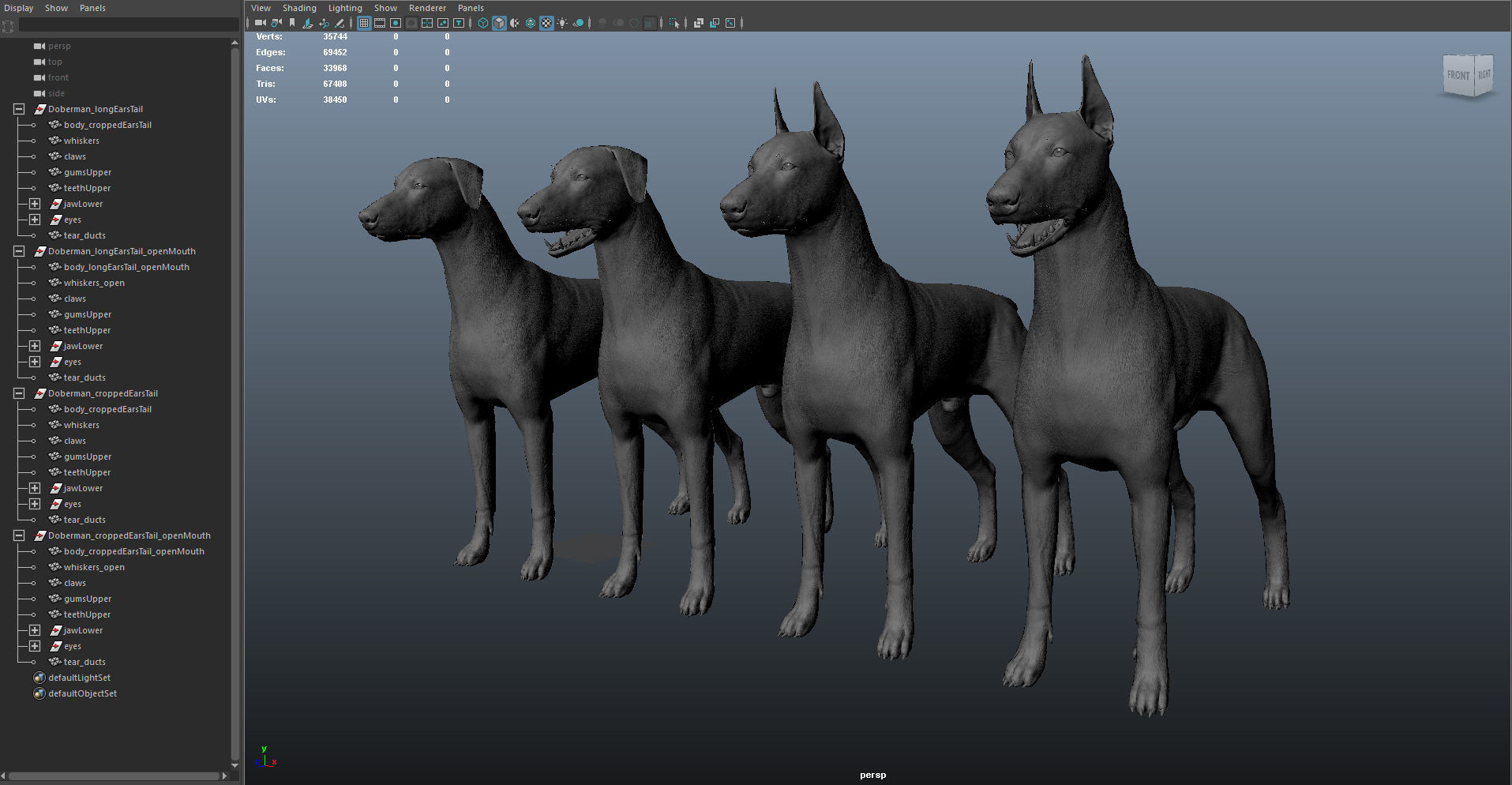 Doberman Real-Time Low-poly 3D model_42