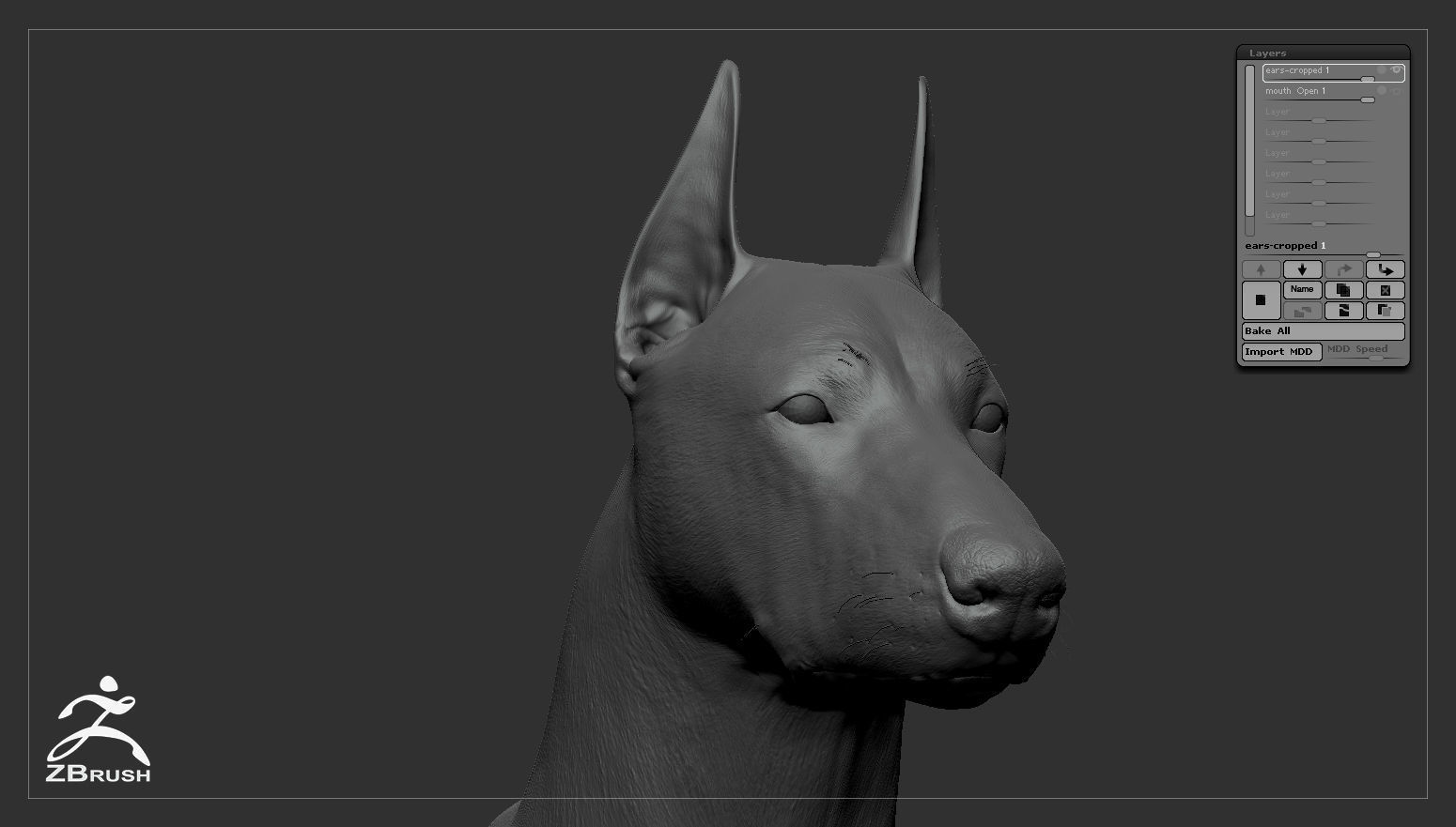 Doberman Real-Time Low-poly 3D model_40