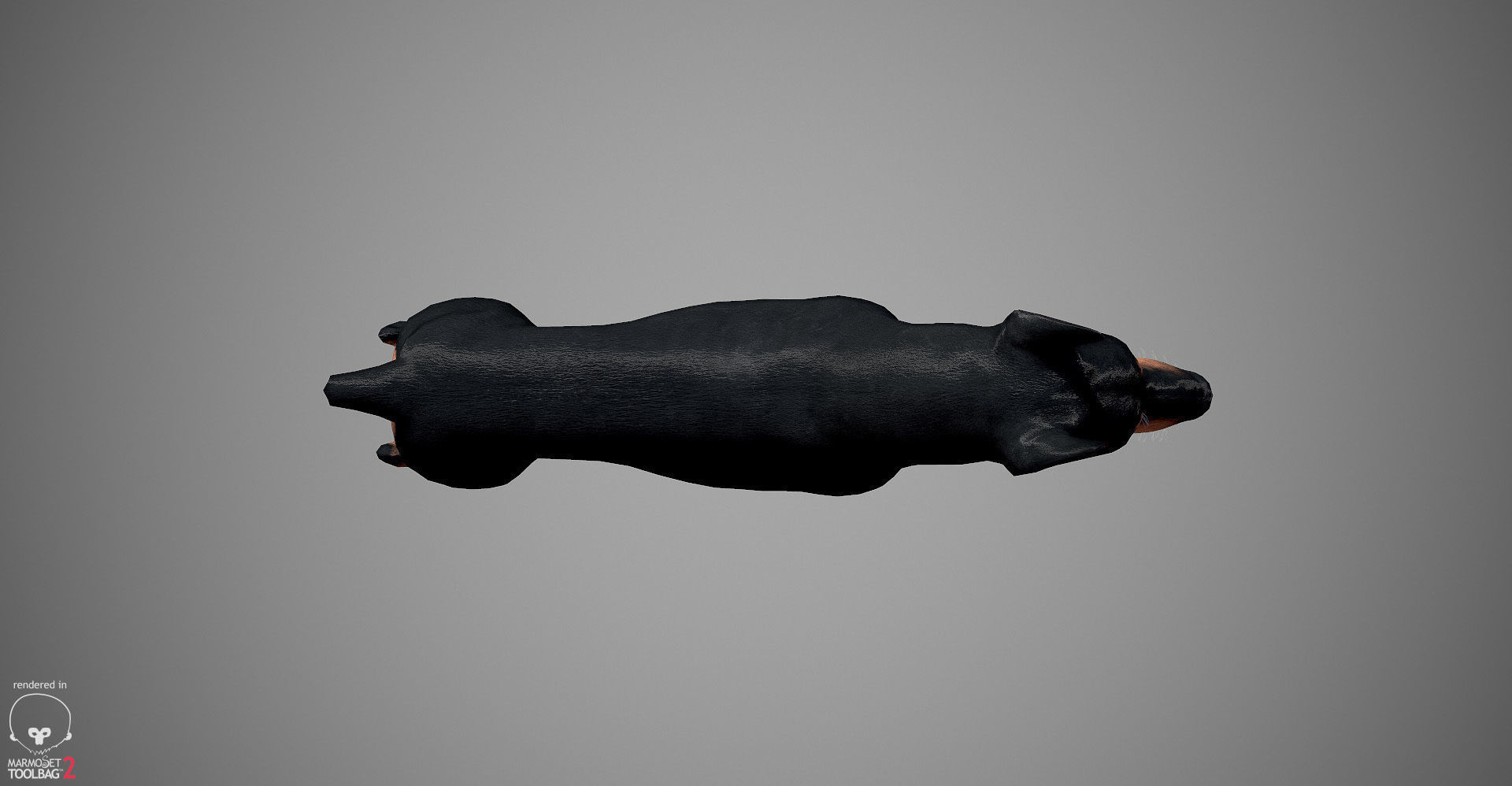 Doberman Real-Time Low-poly 3D model_11