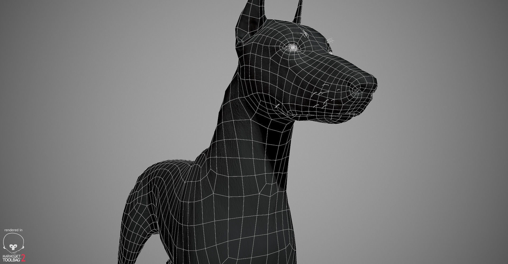 Doberman Real-Time Low-poly 3D model_33