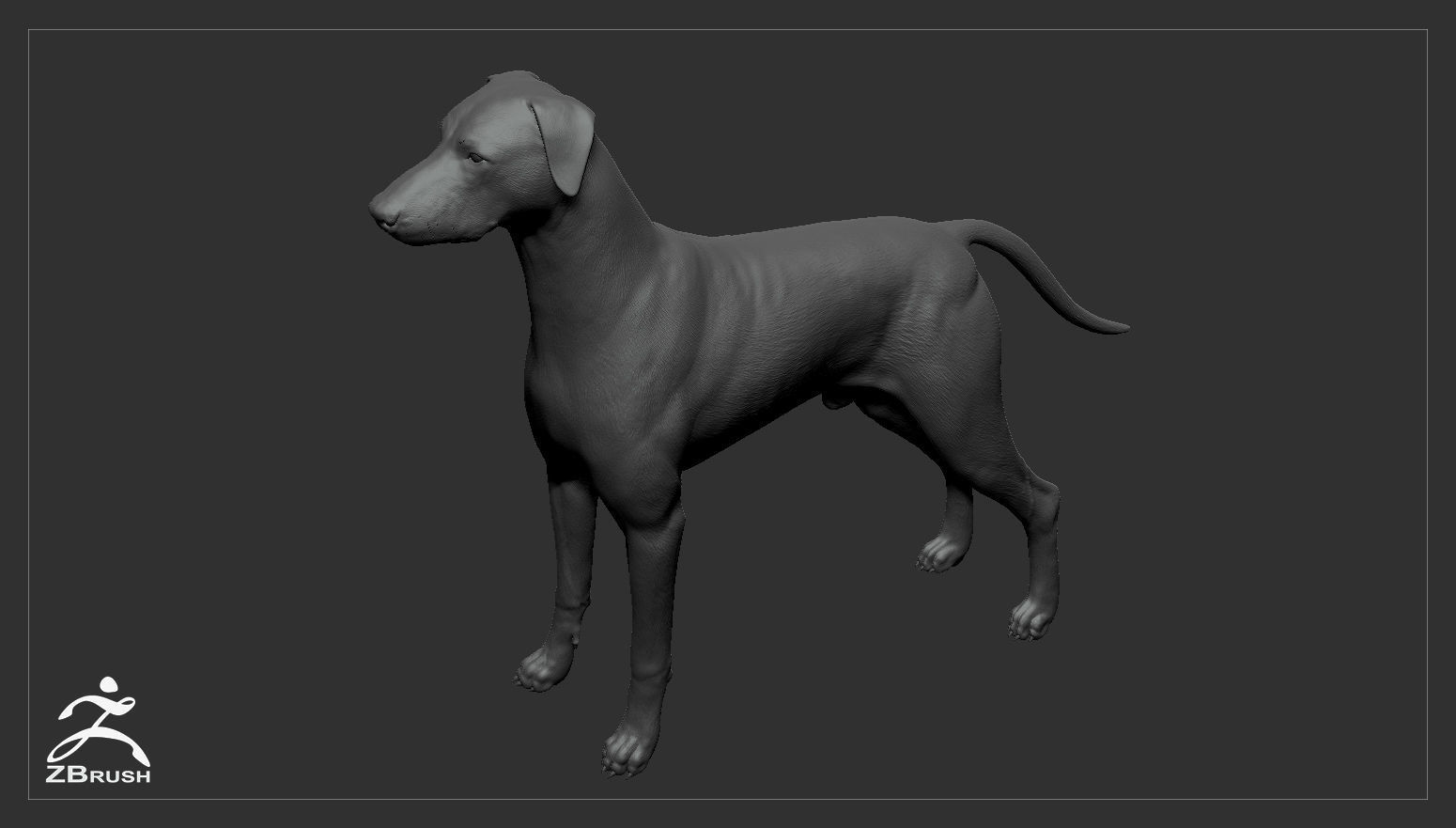Doberman Real-Time Low-poly 3D model_36
