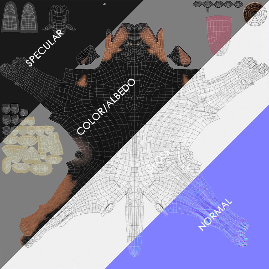 Doberman Real-Time Low-poly 3D model_44