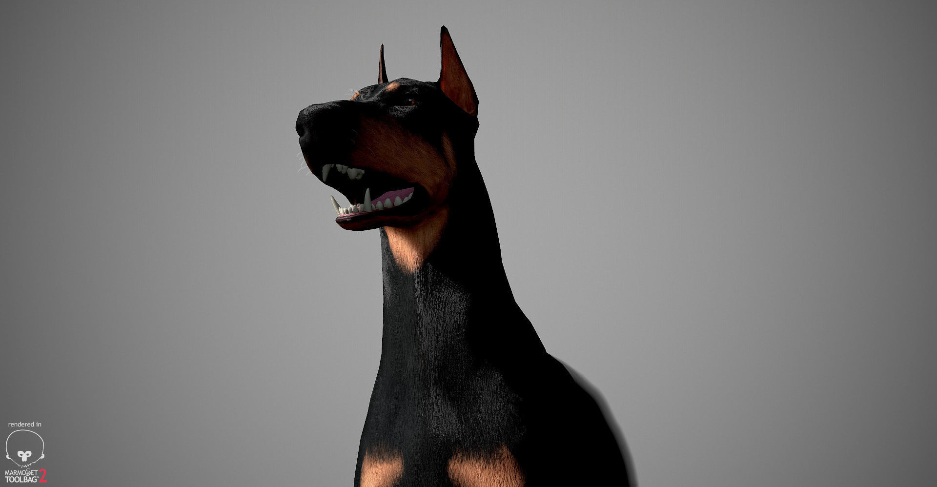 Doberman Real-Time Low-poly 3D model_25