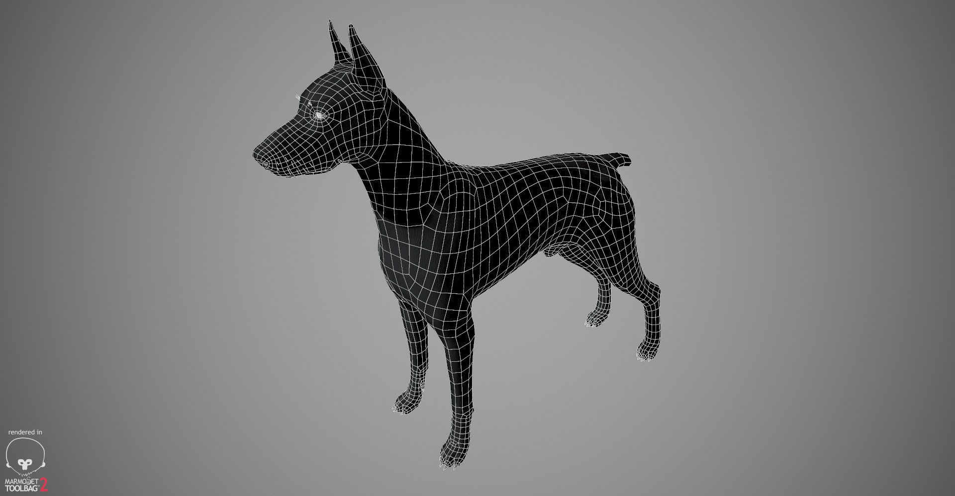 Doberman Real-Time Low-poly 3D model_31