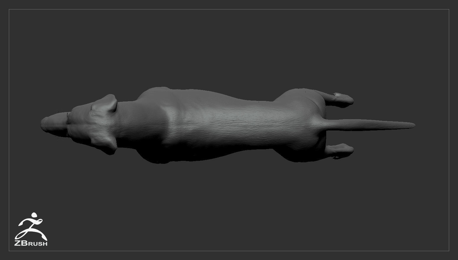 Doberman Real-Time Low-poly 3D model_37