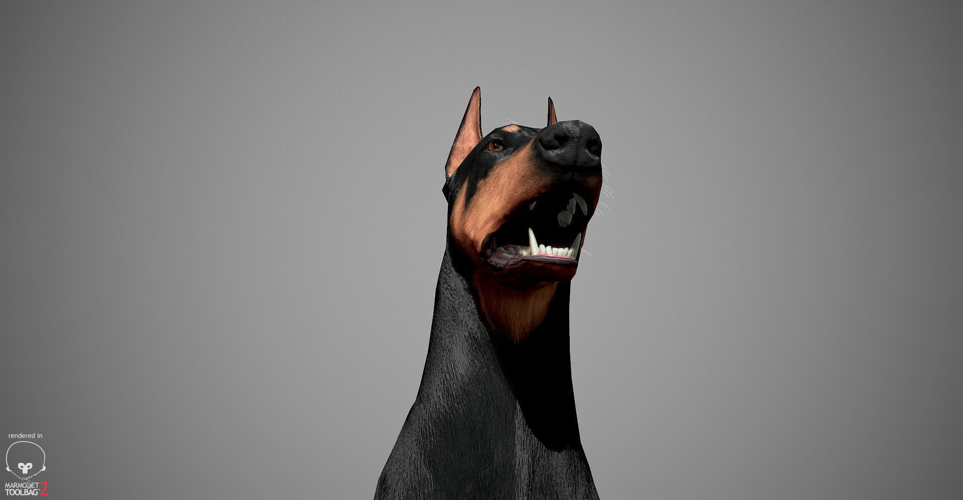 Doberman Real-Time Low-poly 3D model_26