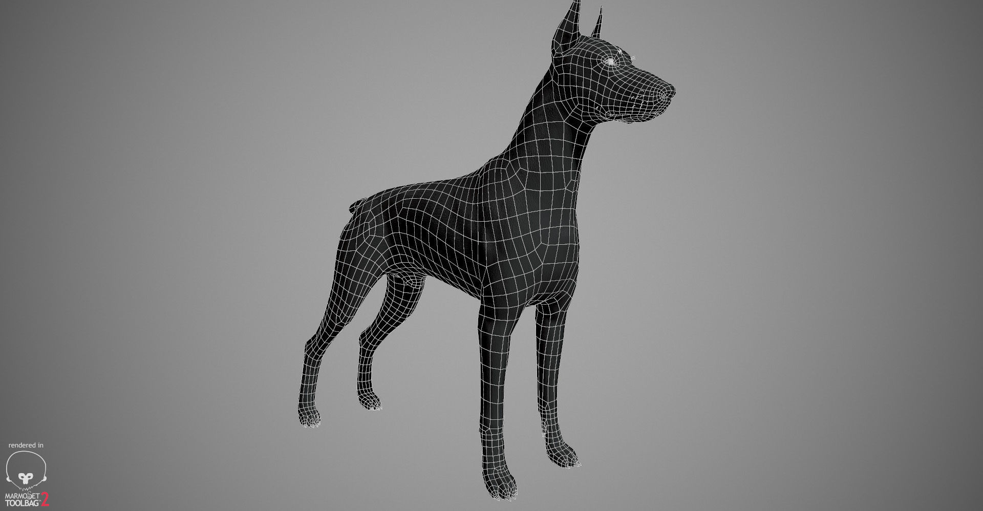 Doberman Real-Time Low-poly 3D model_30