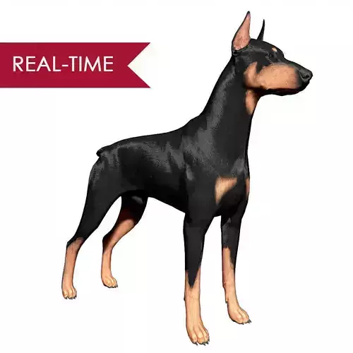 Doberman Real-Time Low-poly 3D model