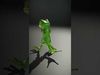 Whimsical Creatures Pack 3D Model Collection_12