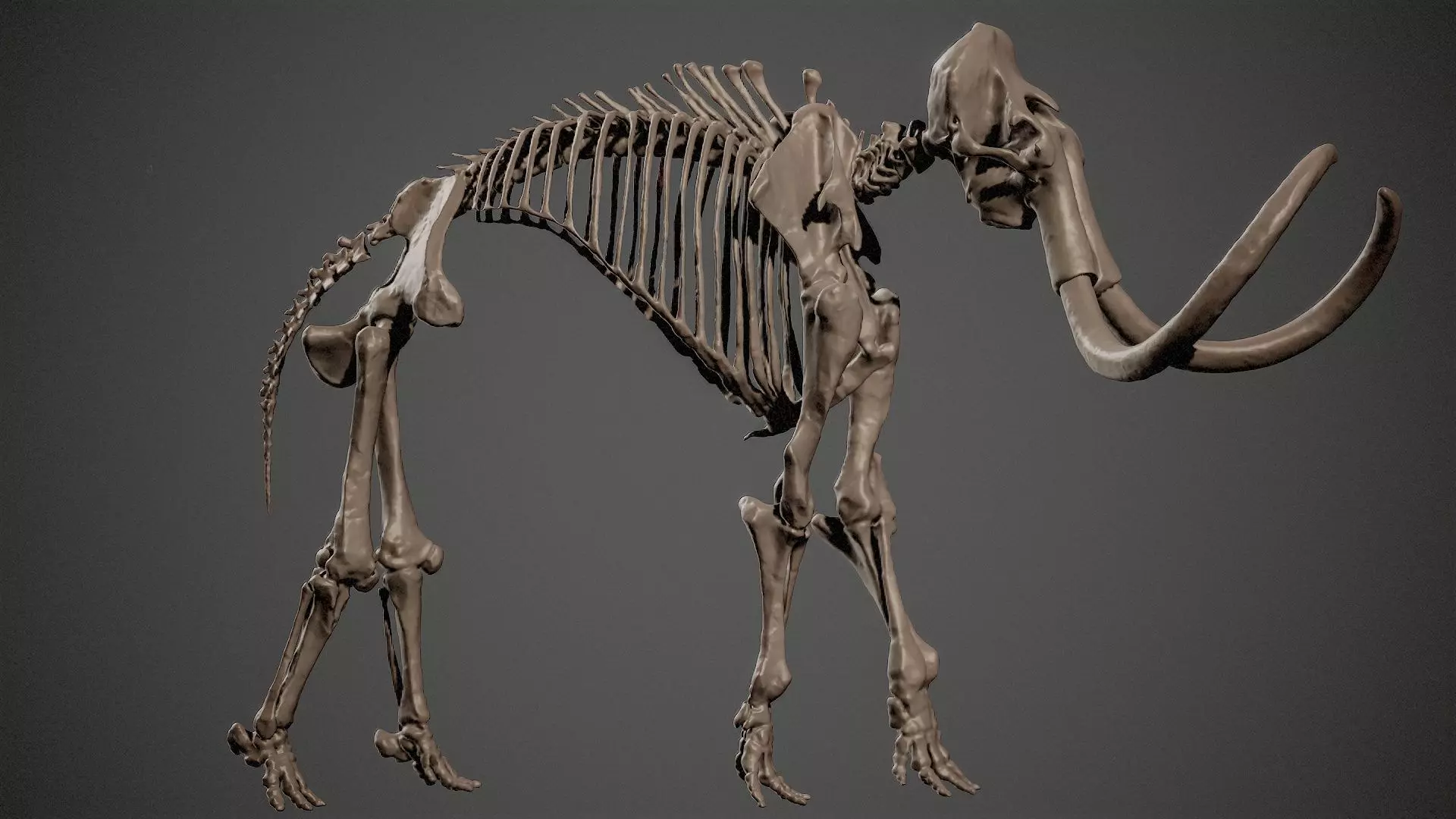 Mammoth Skeleton 3D Scan High-Resolution Fossil Model 3D print model