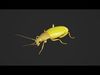 Beetle Cistelomorpha Melanopyga Low-poly 3D model_1