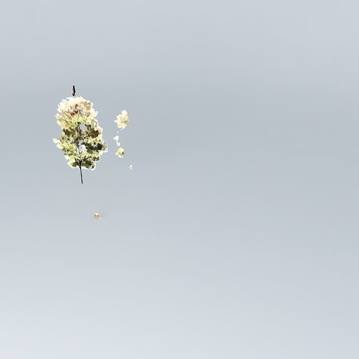 WaterColor Tree 001 Free 3D model_1