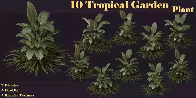 10 Tropical Garden Plants 3D model