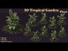 10 Tropical Garden Plants 3D model_1