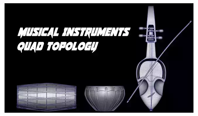 Indian Musical Instruments