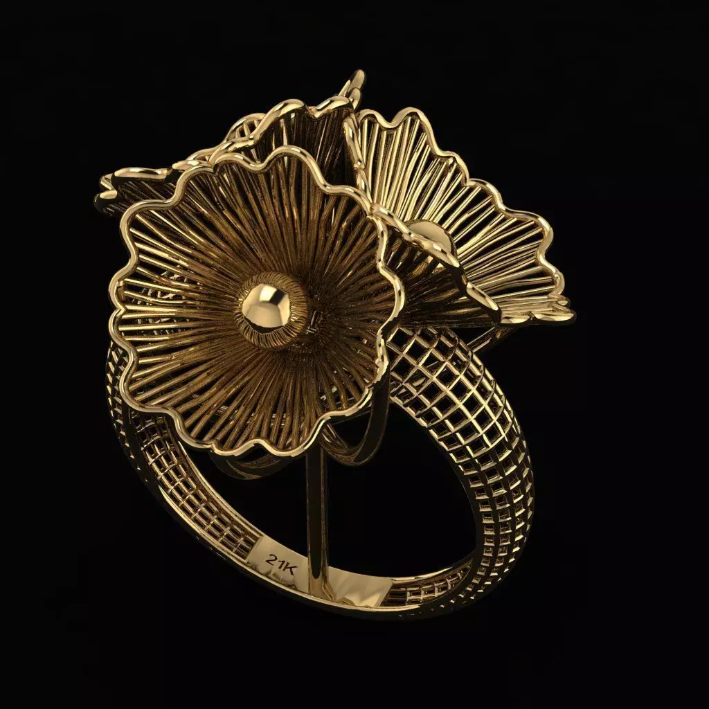 Turkish Ring 3D print model_0