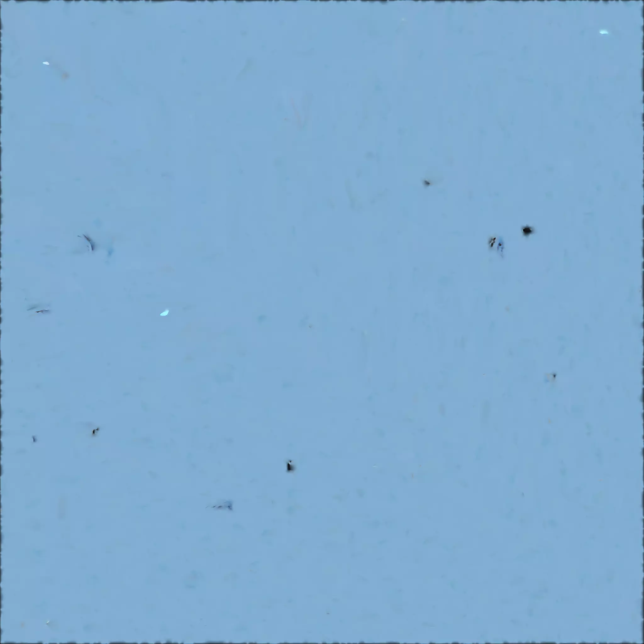 Mystical Ice Fox Spirit 3D Model Low-poly 3D model_1