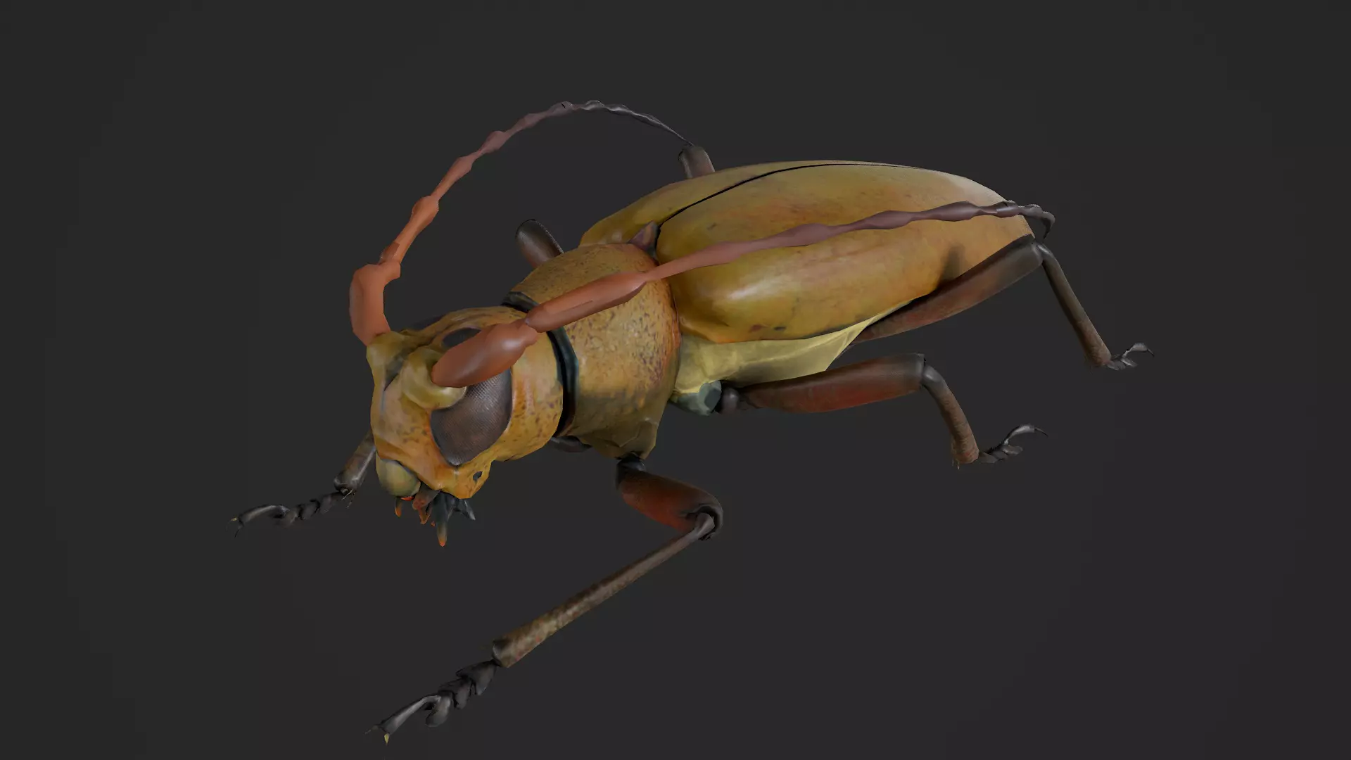 Longhorn Beetle Mantitheus Pekinensis Low-poly 3D model_4