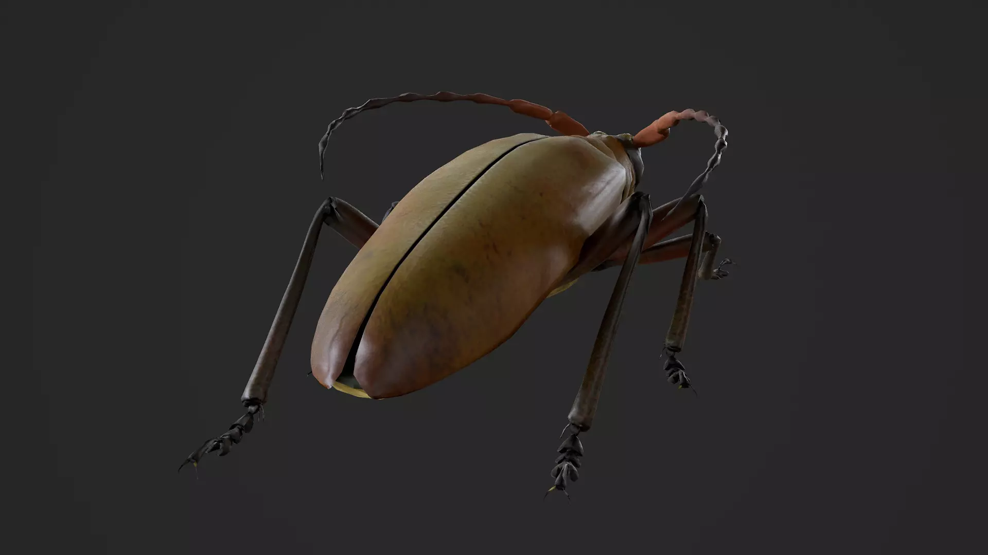 Longhorn Beetle Mantitheus Pekinensis Low-poly 3D model_6