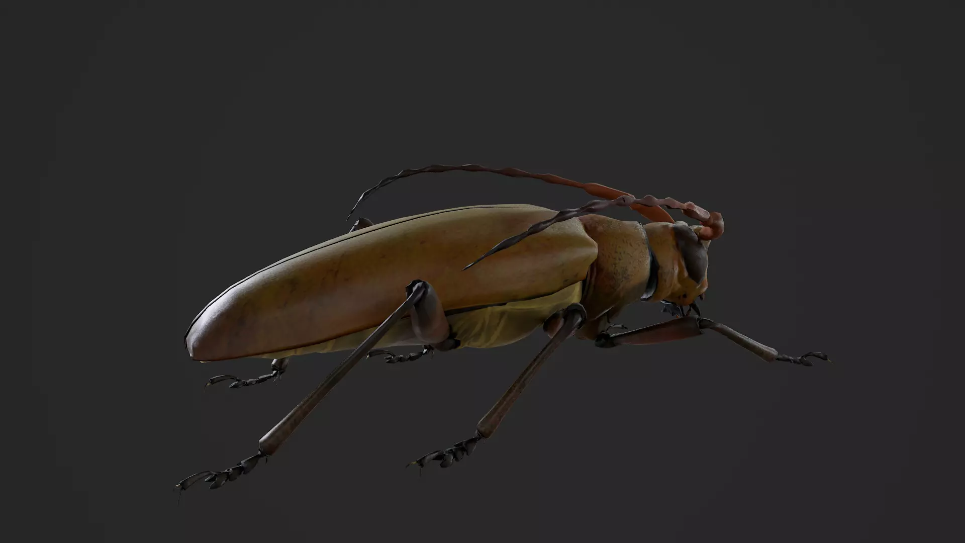 Longhorn Beetle Mantitheus Pekinensis Low-poly 3D model_8