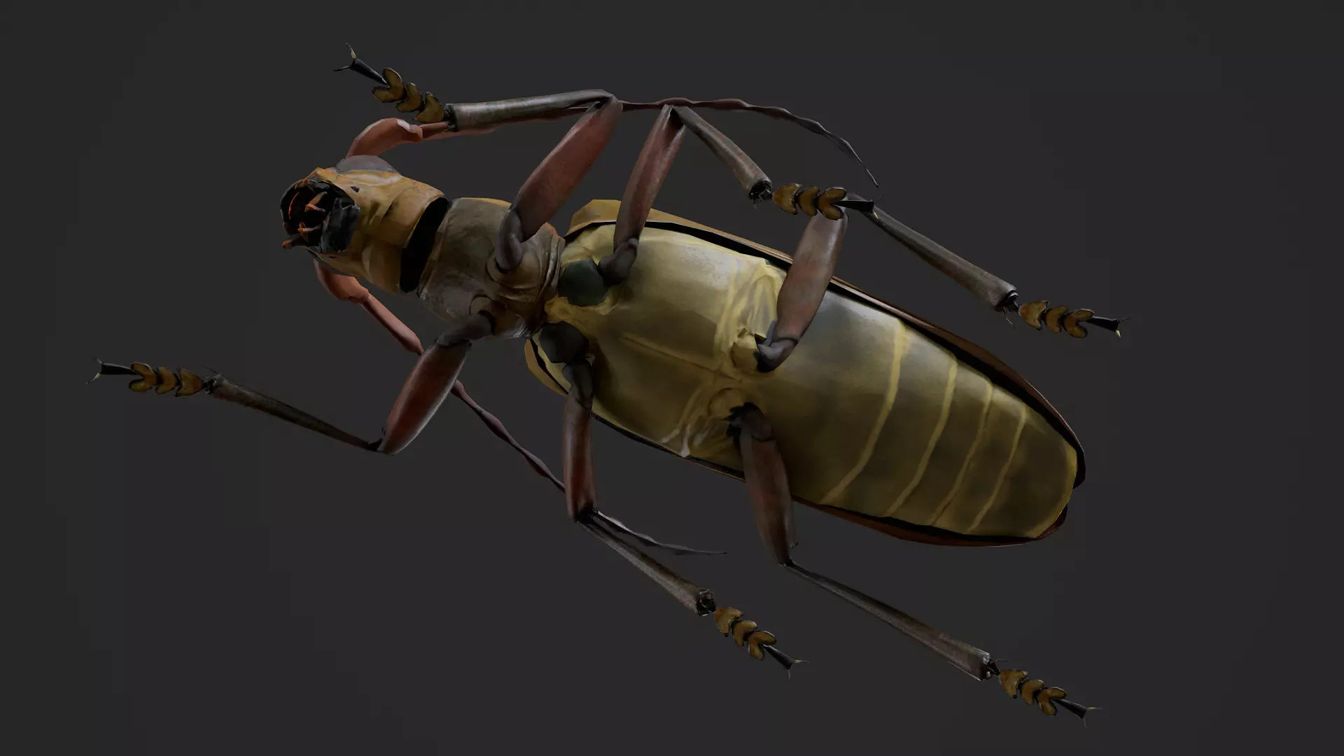 Longhorn Beetle Mantitheus Pekinensis Low-poly 3D model_5