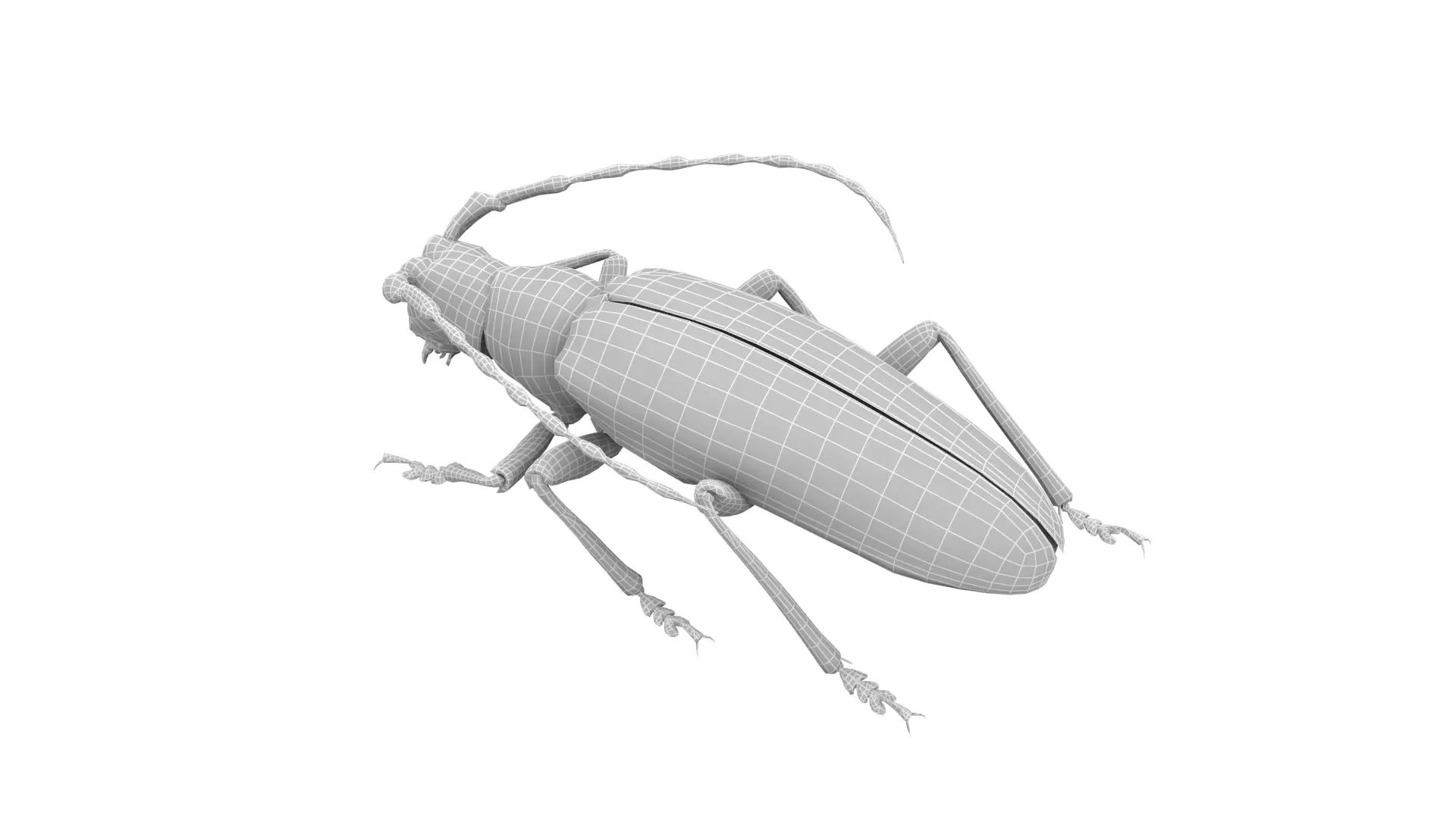 Longhorn Beetle Mantitheus Pekinensis Low-poly 3D model_7