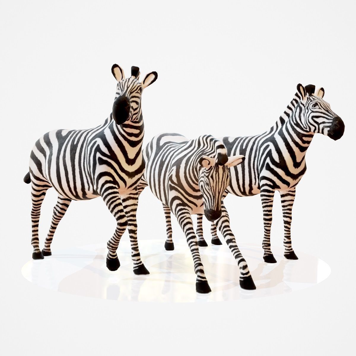 Zebra Rigged Low-poly 3D model_1