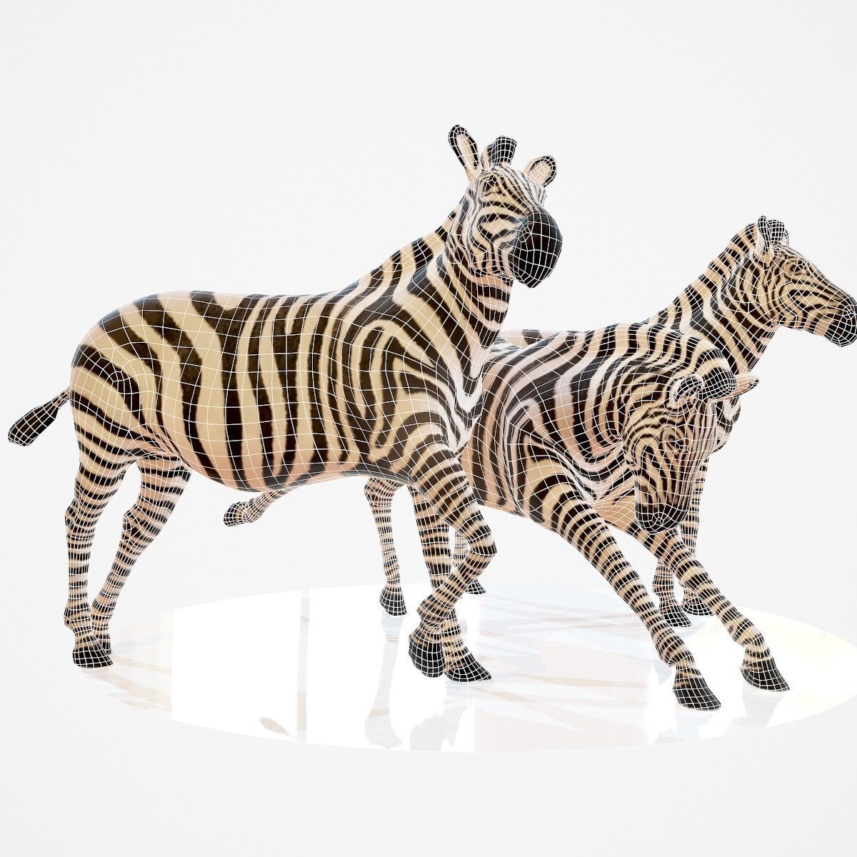 Zebra Rigged Low-poly 3D model_5