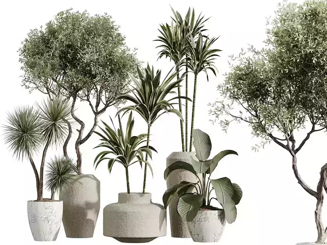 AV Indoor Plants Set 293 Lemon Olive Yucca Palm Cuban Cigar