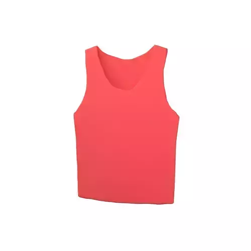 Vest v1 003