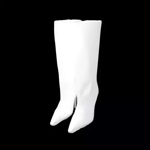 Knee-High Boots v1 002