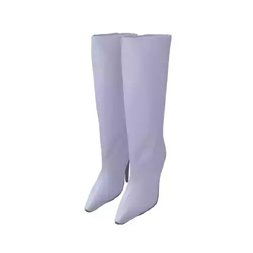 Knee-High Boots v1 005