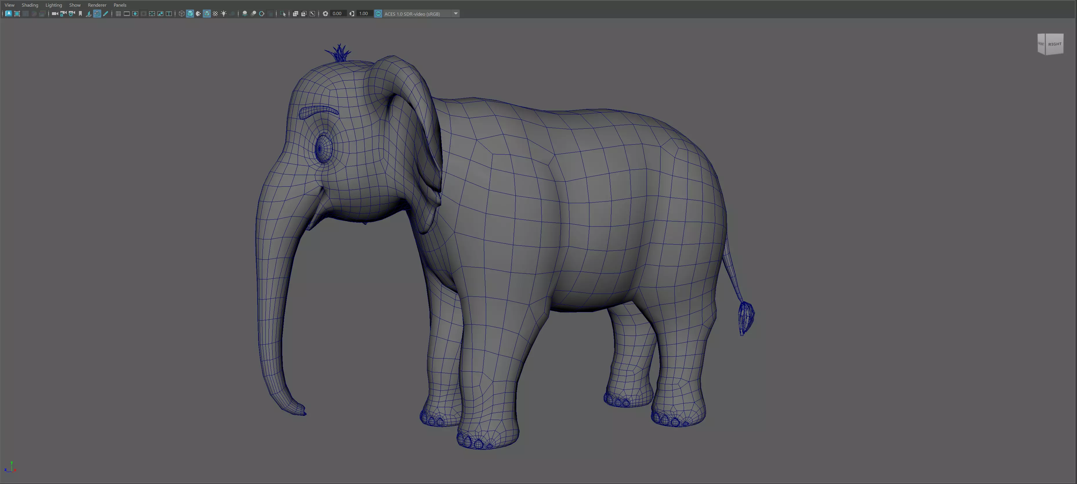 Cartoon Elephant - MAYA Rigged and Blender Rigged Low-poly 3D model_19