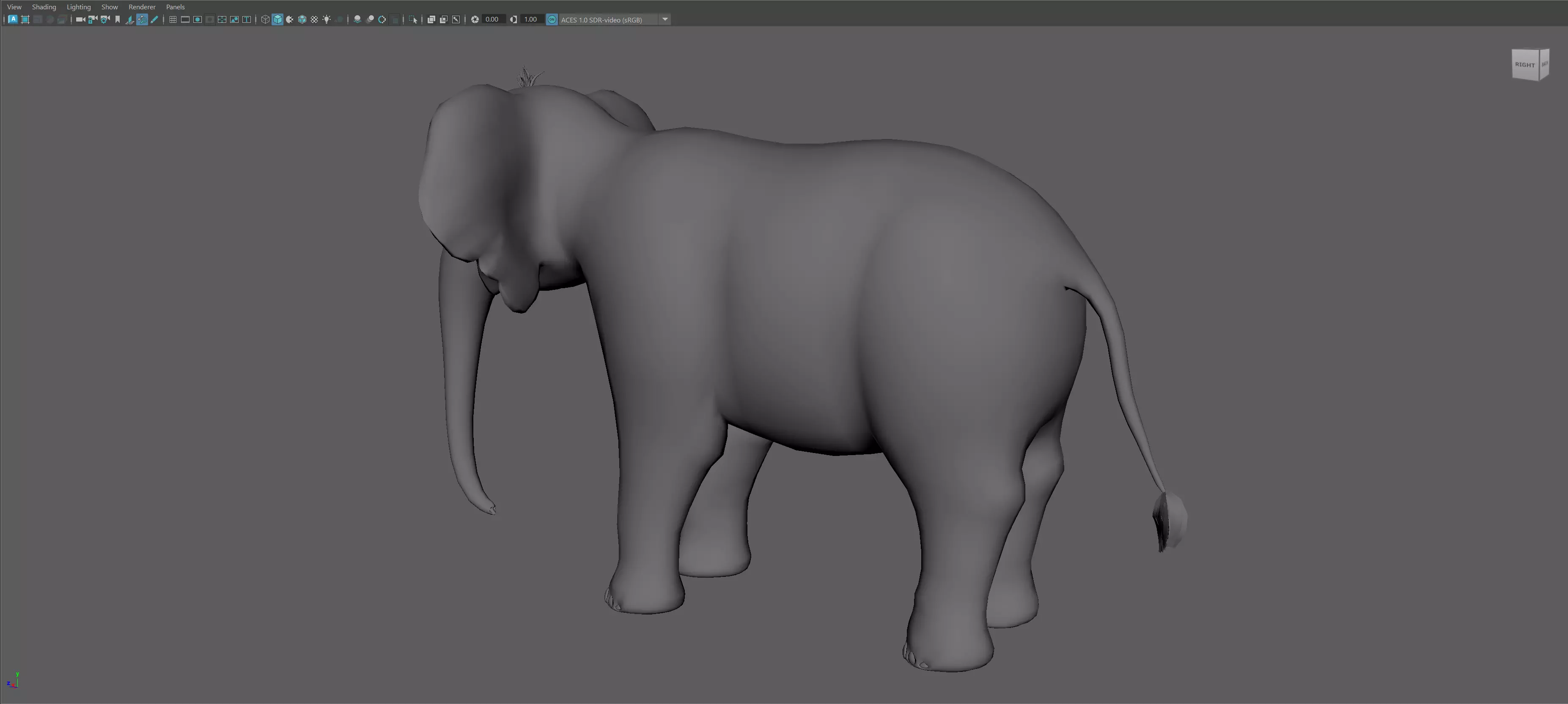 Cartoon Elephant - MAYA Rigged and Blender Rigged Low-poly 3D model_15