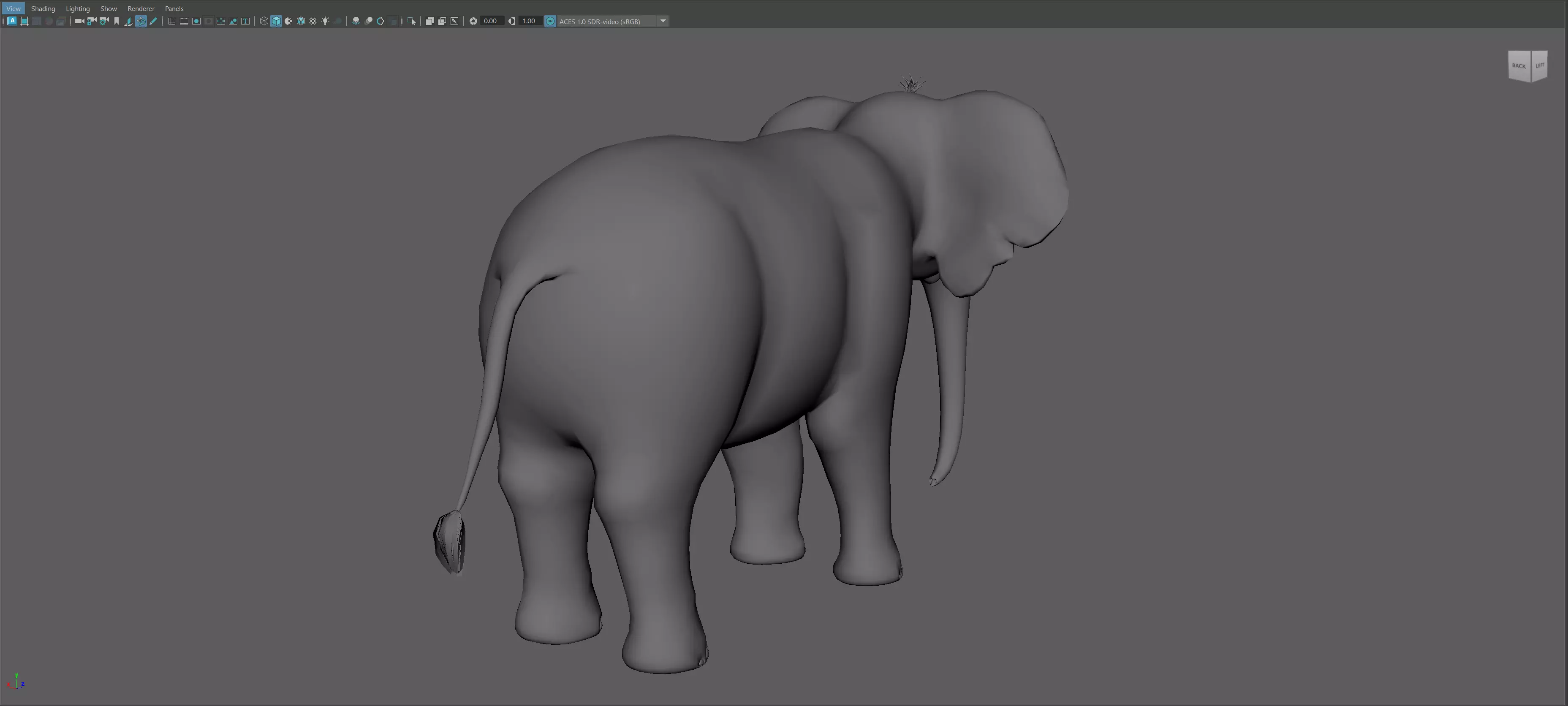 Cartoon Elephant - MAYA Rigged and Blender Rigged Low-poly 3D model_14