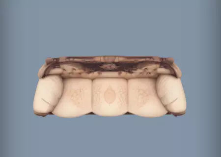 Ornate vintage sofa with tufted cushions 3d Model 3D print model_6