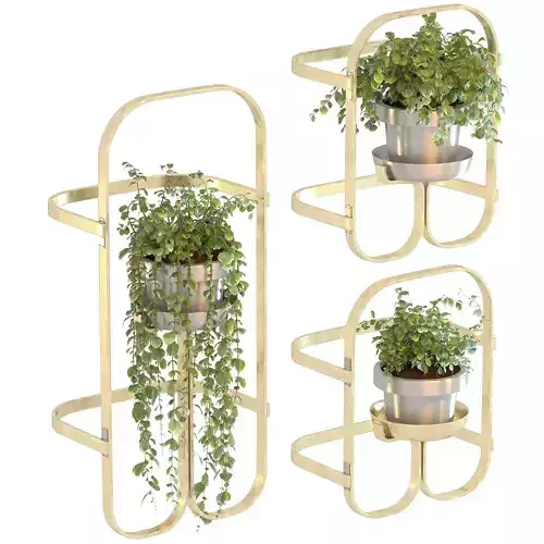 Golden Metal Hanging Plant