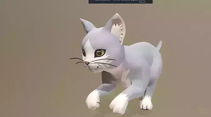 GRAY CAT RUN Cycle