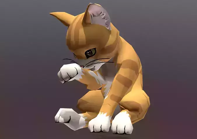 Tiger Yellow Cat Sitting Idle Cycle