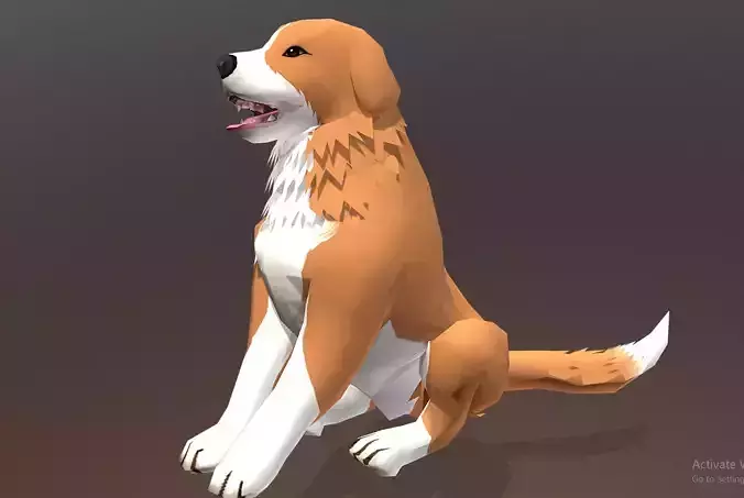 Retriever Dog Sitting Idle Cycle Orange Dog