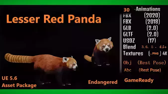 Lesser Red Panda Low-poly 3D model
