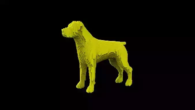 Dog voxel