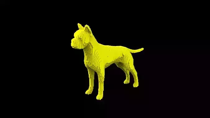 Boxer voxel