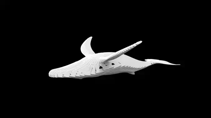 whale Slice Form - parametric - multiLayer