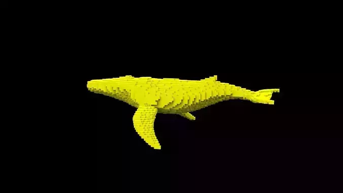 whale voxel