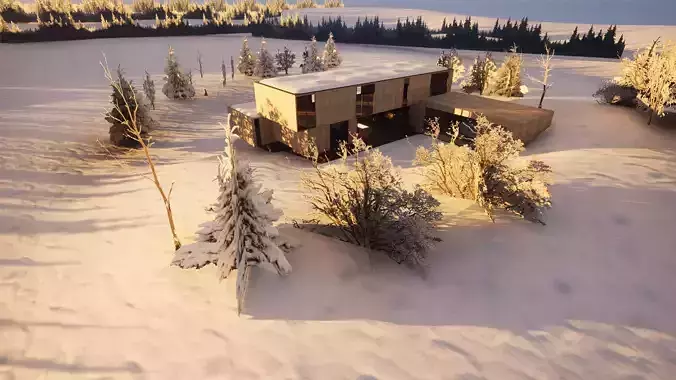 Modern Winter Cabin in snowy Scene Low-poly 3D model 7