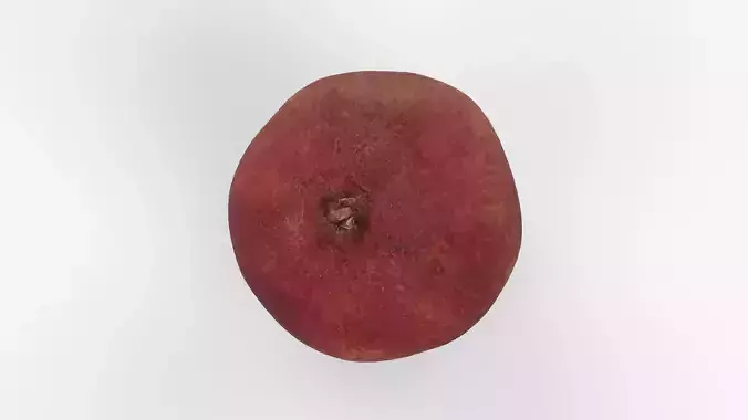 Photorealistic 3D scan of rotten wrinkly overripe old ugly apple Low-poly 3D model 2